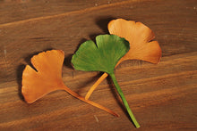 Load image into Gallery viewer, MerrySix Crafts Handmade Ginkgo Veg-Tanned Personalized Cute Leaf Bookmark
